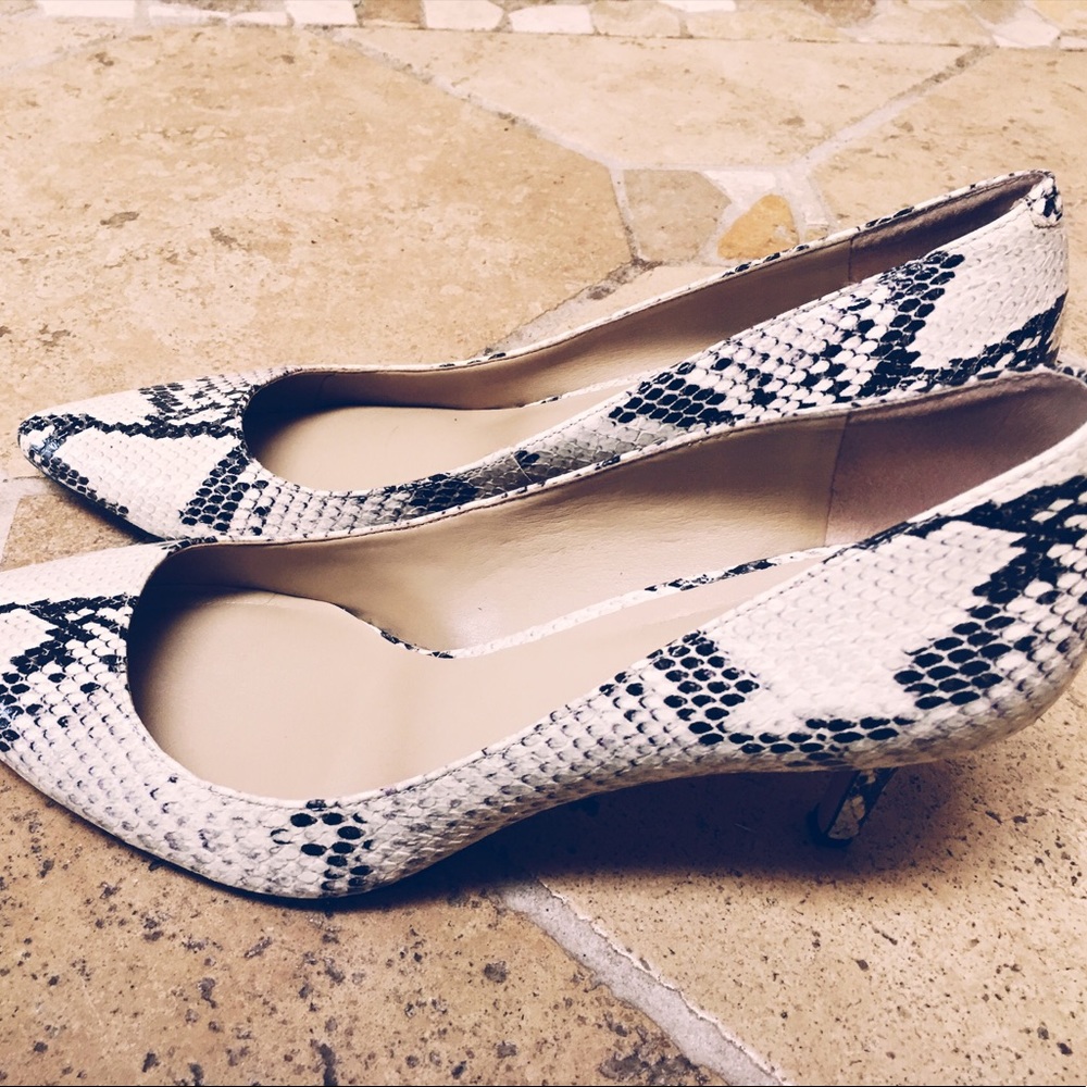Ann Taylor Snakeskin Kitten Heels 🐈